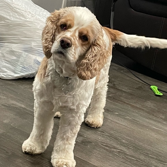 Meet your Posher, Kelly - Picture 1 of 1